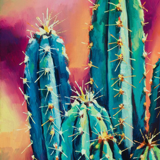 Cactus psychedelia