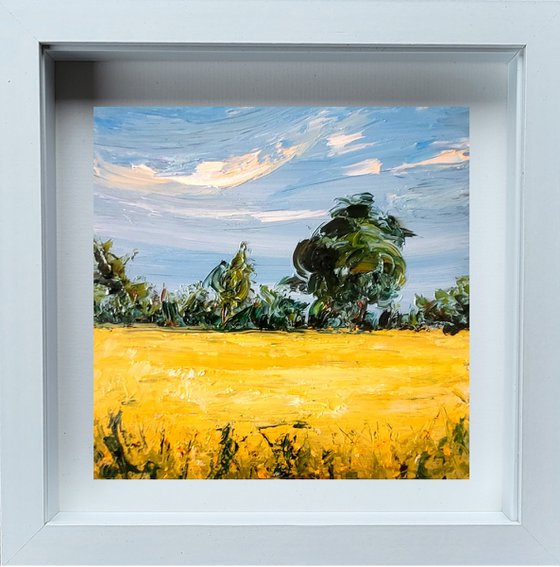 Golden fields of Summer