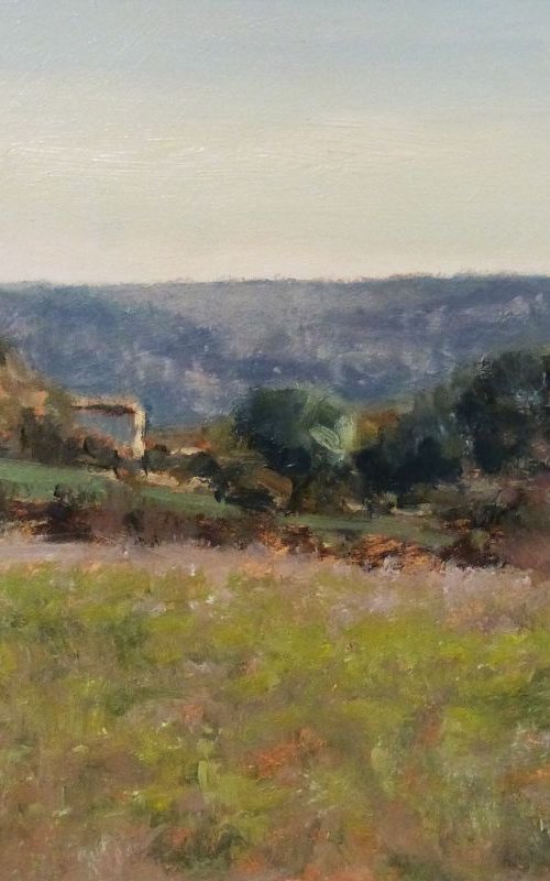 Olive Trees at Chateauneuf by Pascal Giroud