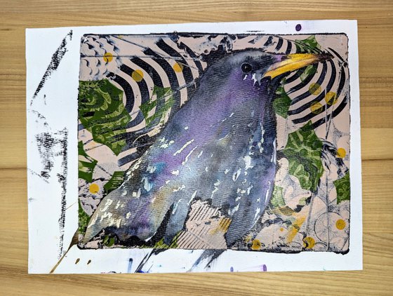 Mixed media starling