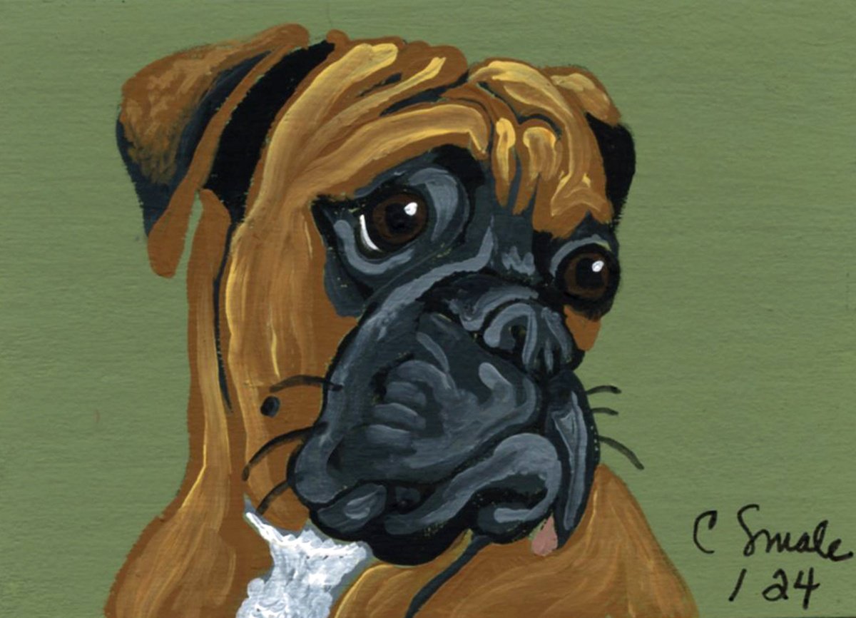 Boxer Pet Dog by Carla Smale