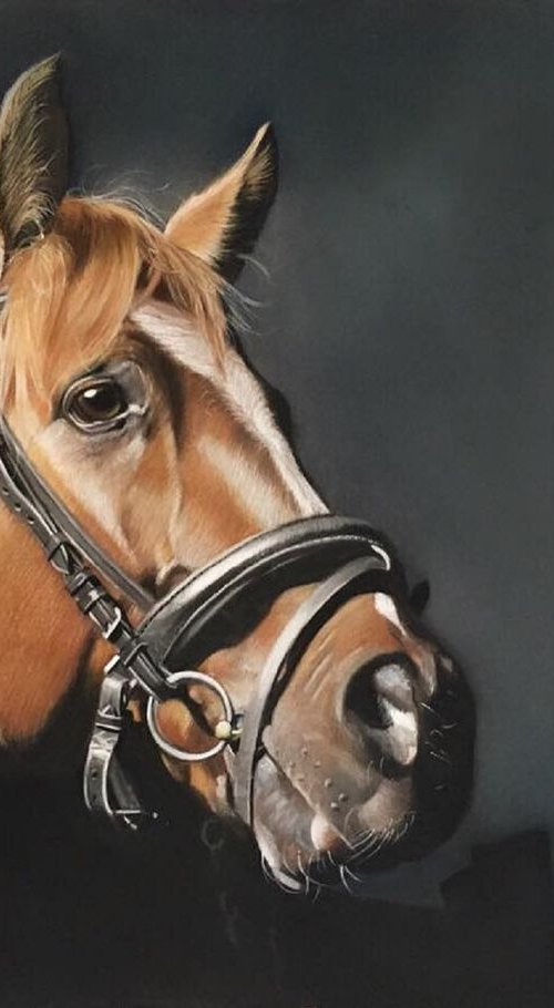 Grace by Clare Parkes