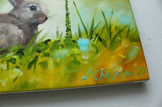 Bunny in green grass