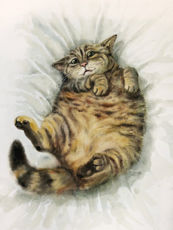 Fat Cat -  striped cat -  fluffy cat - fuzzy cat - funny cat