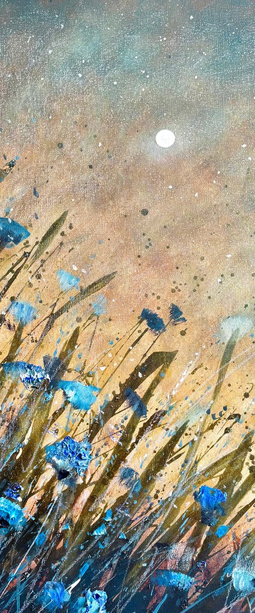 Midnight Awakening by Jennifer Taylor