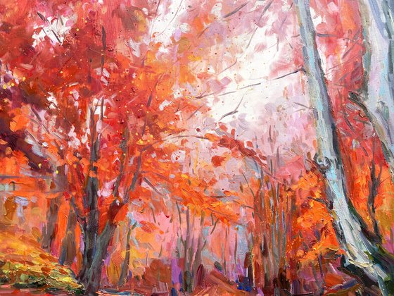 " river in autumn forest "
