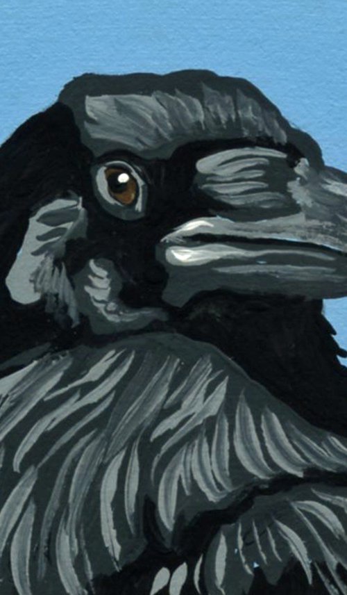 Crow Raven Bird by Carla Smale