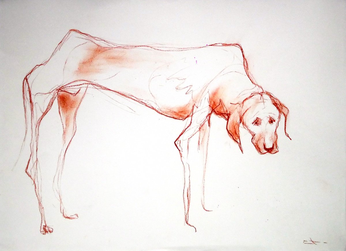 Expressive Animal Drawing By Lionel Le Jeune, 17 X 12", Stray Dog, Original Artwork