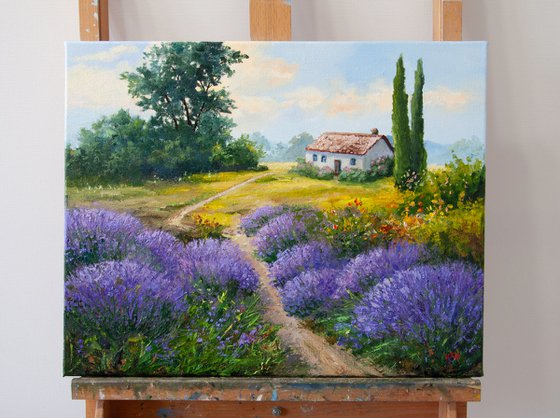 Lavender fields
