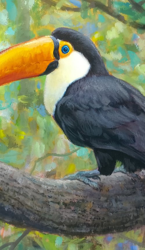 Toucan by Gabriel Hermida