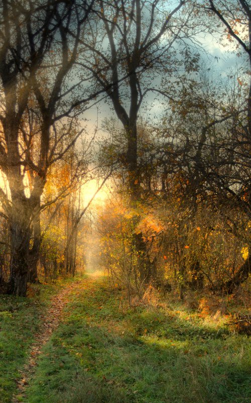 Autumn Calm V — Through the Light by Vlad Durniev