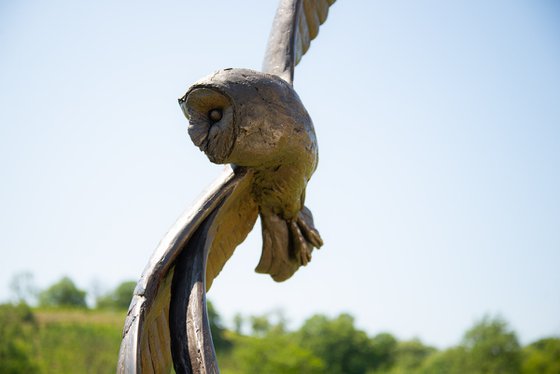 Flying Owl Bronze Resin