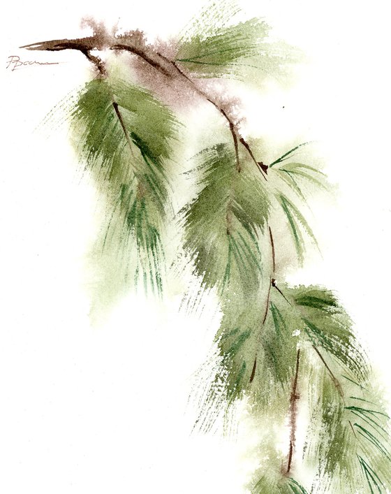 Set of 2 Pine Branches - Original watercolor paintings
