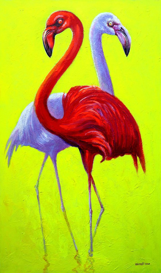 Flamingo 2