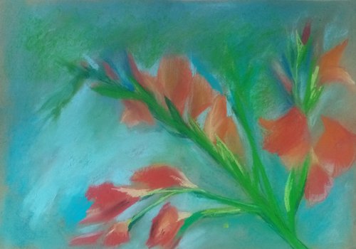 Gladiolus of salmon color 1 by Oxana Raduga