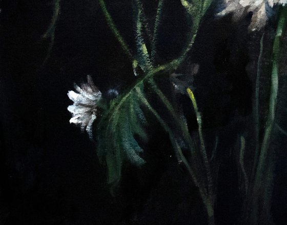 Flowers in the dark