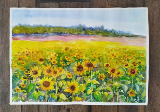 Field with sunflowers