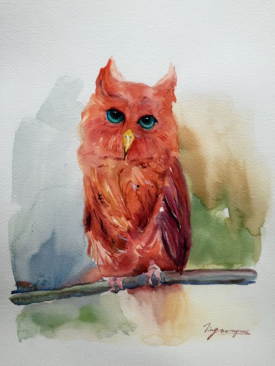 Owl
