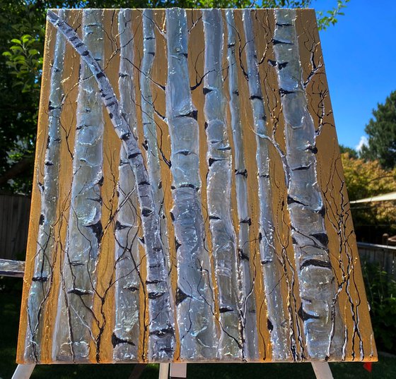 Birch Trees  Monochrome