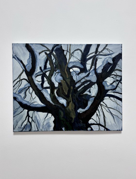 ''Winter landscape''