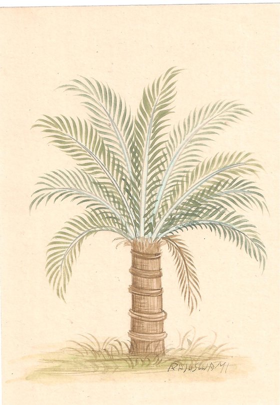 Date Palm | Indian Miniature