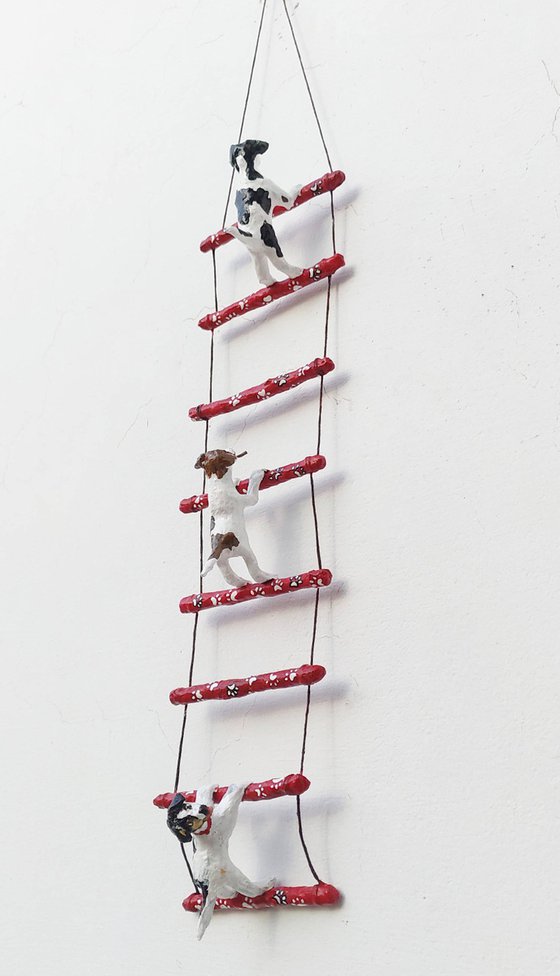 Dogs on Ladder