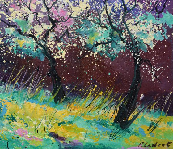 Appletrees in blossom -6523