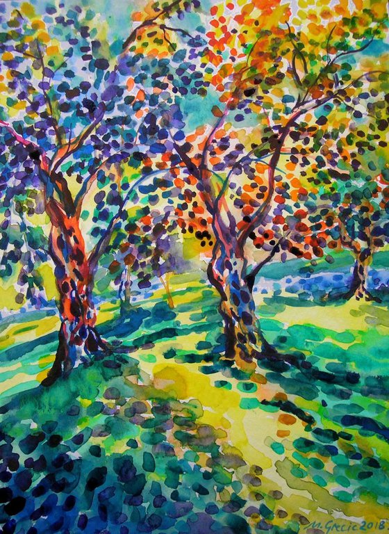 Old olive orchard VI