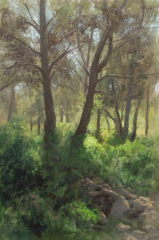Spring in the forest