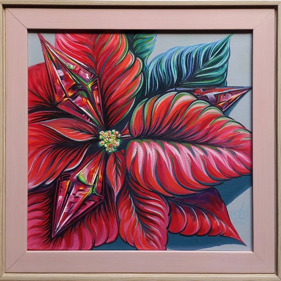 Poinsettia