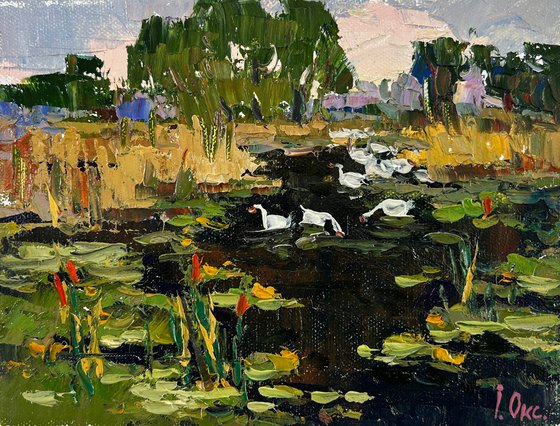 Geese in the lake