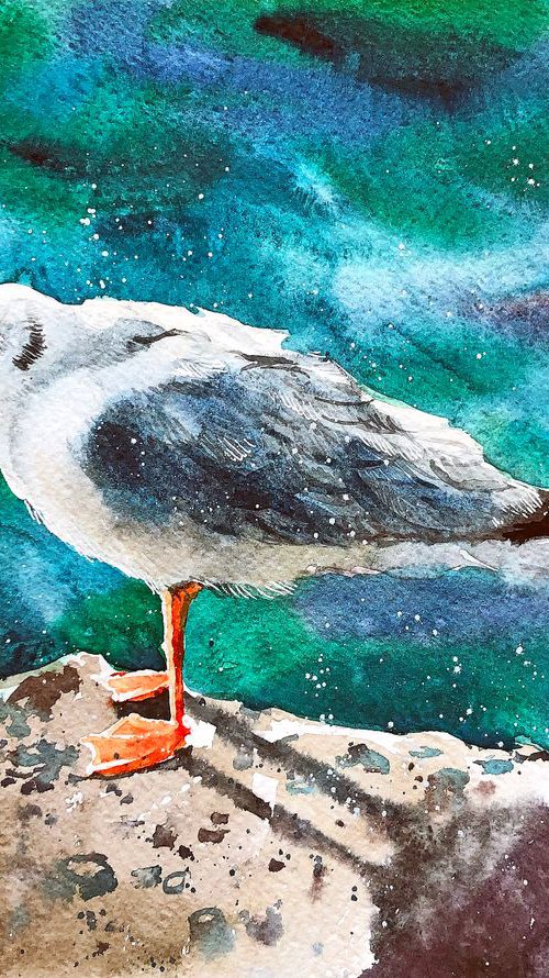 A Seagull from Geneva by Ksenia Astakhova