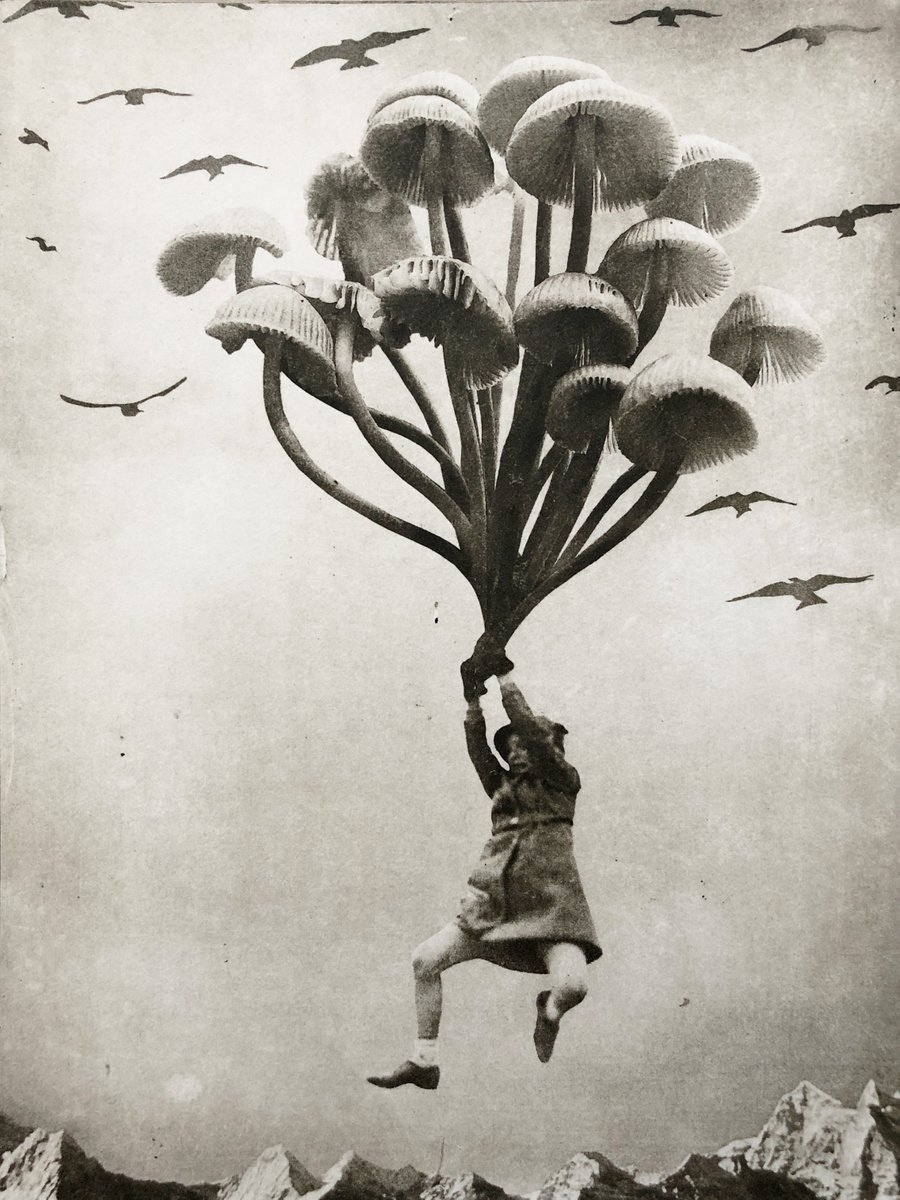 Surrealistic Portrait Etchings & Engravings By Jaco Putker, 10 X 13, The Girl And The Mushrooms, Original Artwork