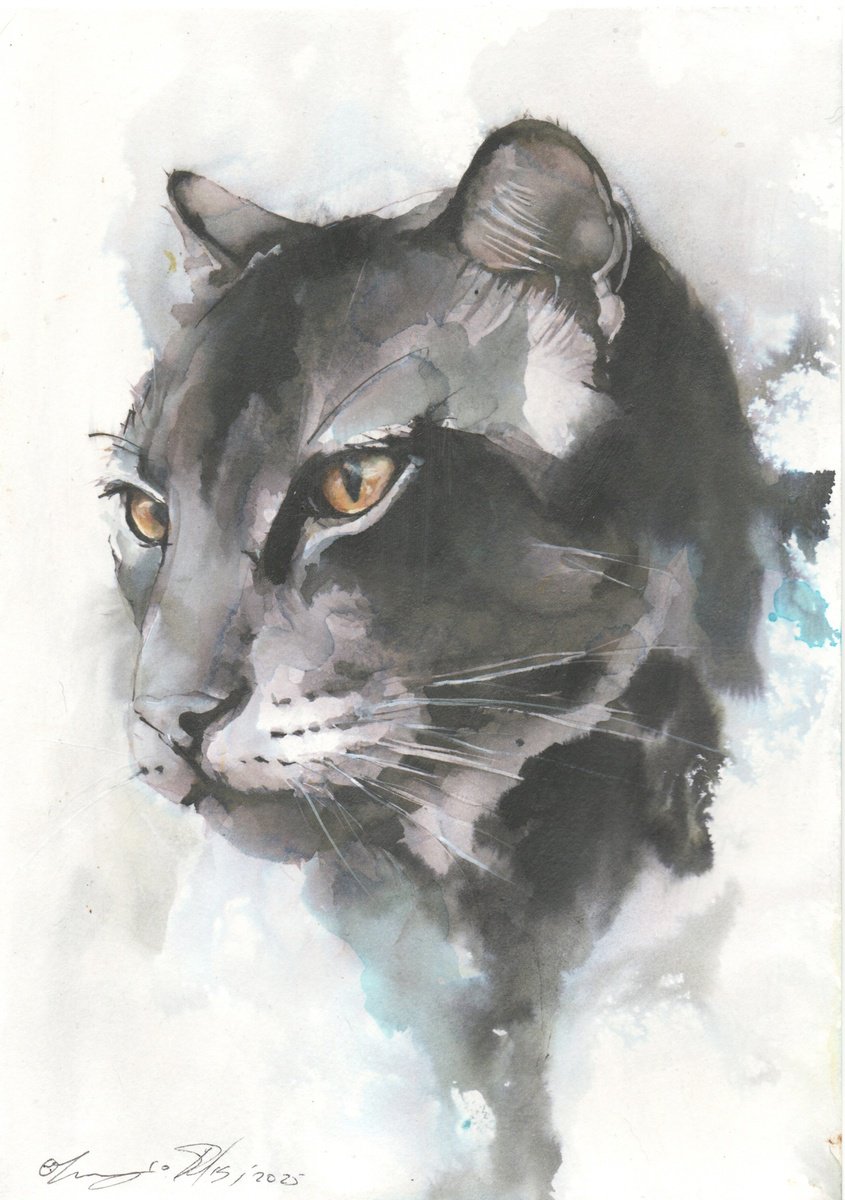 Impressionistic Portrait Ink Drawing By Maurizio Puglisi, 8 X 11", Panther, Original Artwork