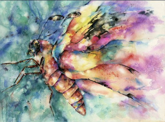 Butterfly 2