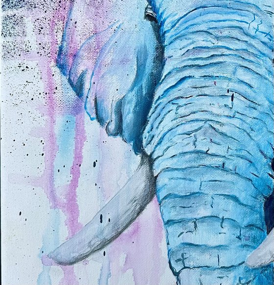 Elephant Pink 'n' Blue