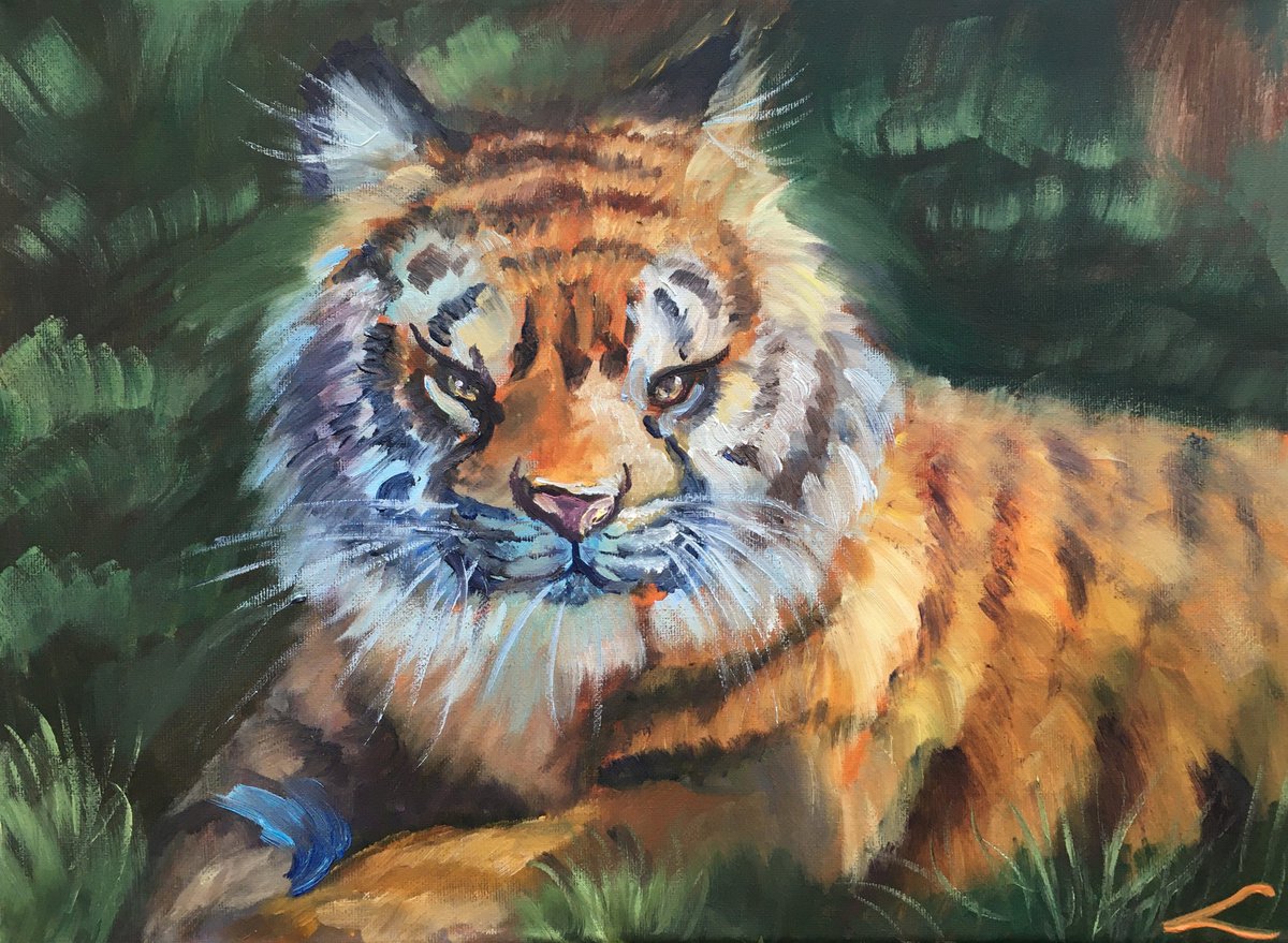 Impressionistic Animal Oil Painting By Elena Sokolova, 16 X 12, Tiger 2, Original Artwork