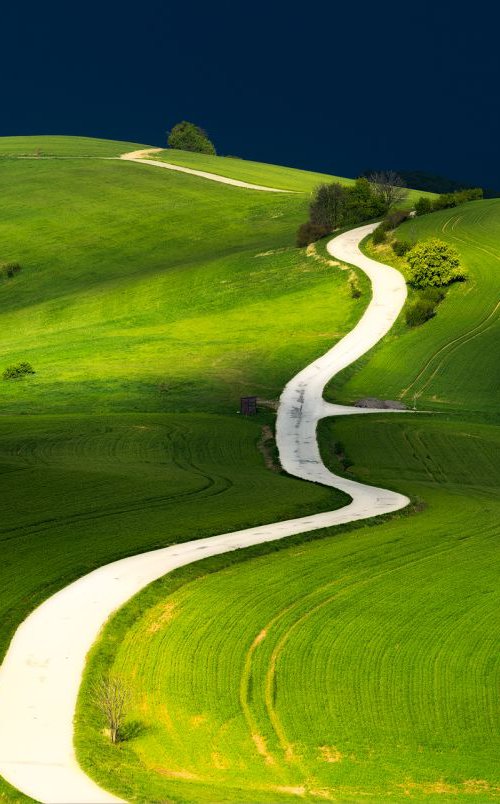 Path of life by Janek Sedlar