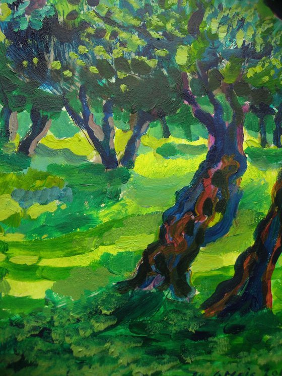Green olive orchard