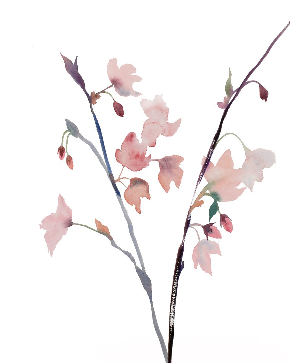 Cherry Blossom No. 24 by Elizabeth Becker