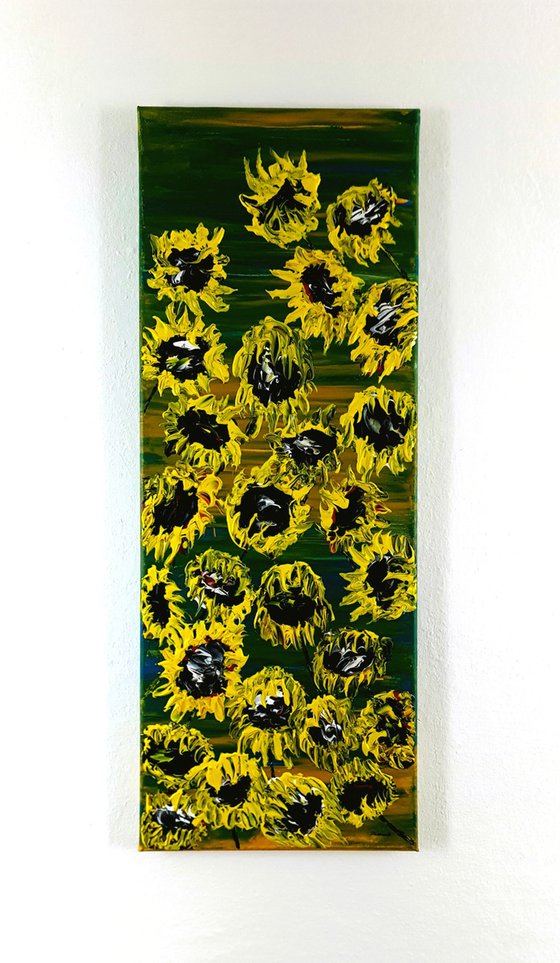 Blooming sunflowers 1