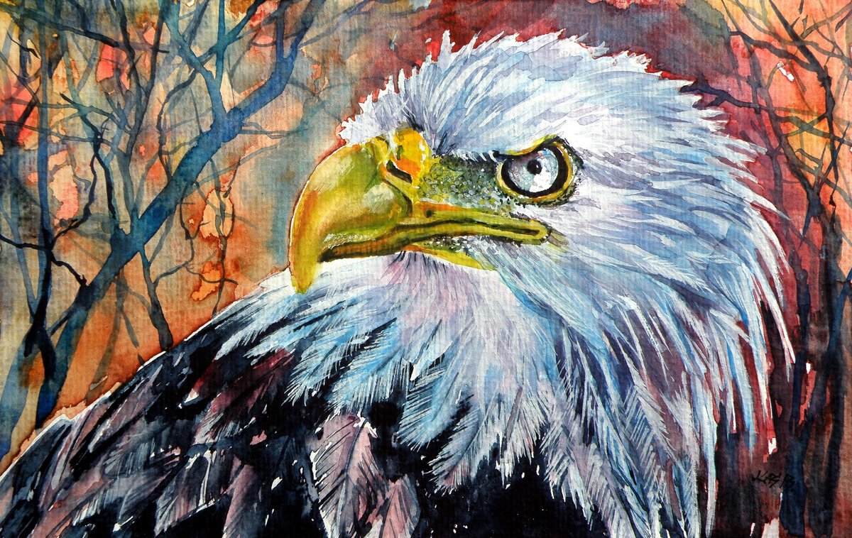 Bald eagle /15,5 x 24 cm/ by Kovcs Anna Brigitta