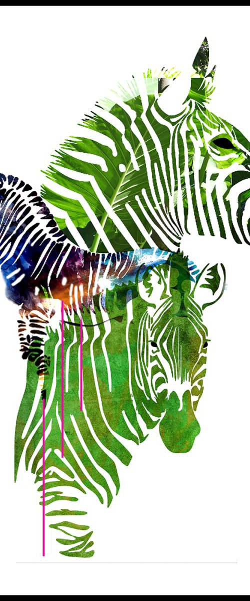 Portrait of Zebras by Anna Sidi-Yacoub