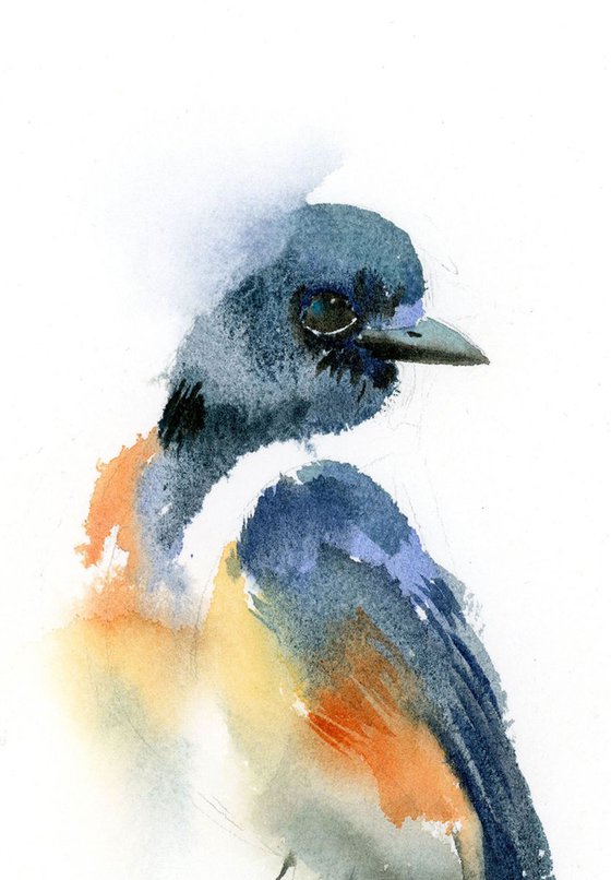 A Single Bluebird