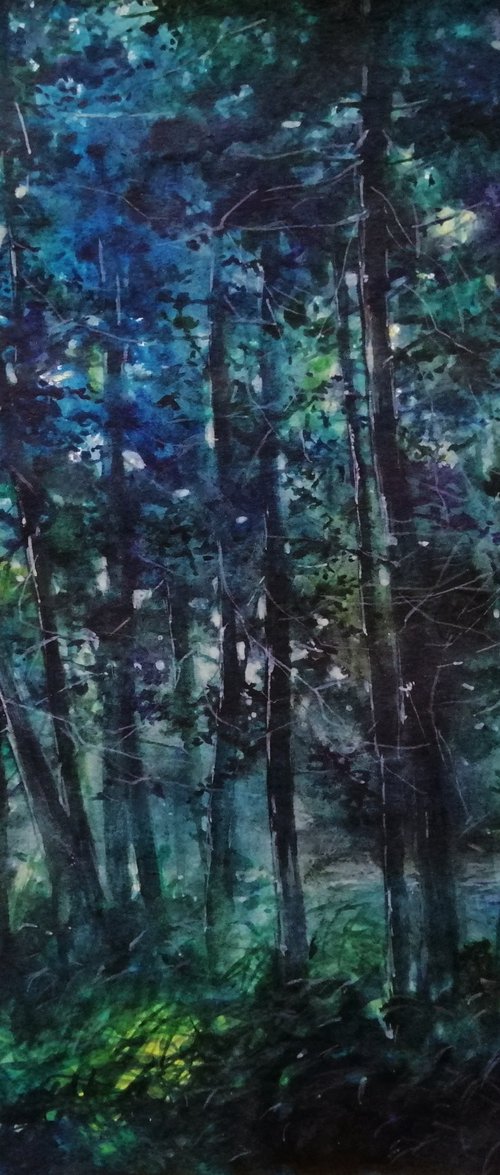 Forest by Artem Grunyka