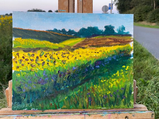 Sunflowers field. Plein air