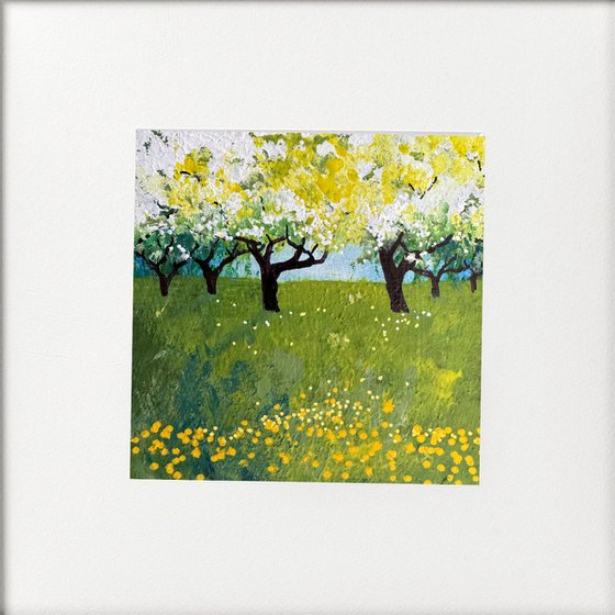 Cherry Blossom Dandelion orchard