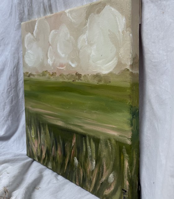 Creamy clouds horizon and soft fields