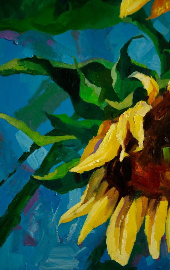 Sunflowers