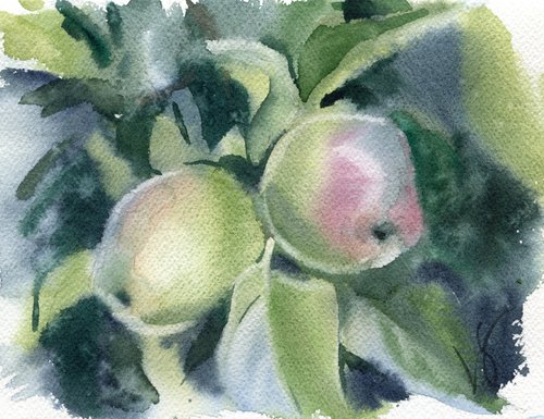 Two apples in a tree by SVITLANA LAGUTINA